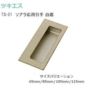 ő|Cg100%obNvGg[cLGX TS-31  / S4TCY \Ap ^Cv |t XeXEA~ TCY4