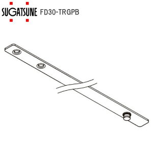 ő|Cg100%obNvGg[XKclH LAMP FD30-TRGPB FD30EX˕i ˑܗpgK[ ːKp 250-029-704