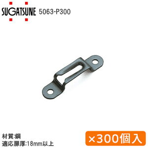 ő1000~ItN[|&P2{yzXKclH 5063-P300 / 300 LAMP J`bgVXe Nbv h 18mmȏ ܂Ƃߔ V_[XN[͕ʔ聦