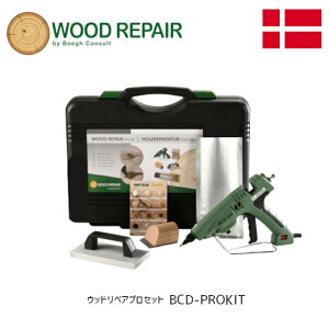 yzWOOD REPAIR EbhyAvZbg BCD-PROKIT K{̂ƃyAXeBbÑZbg f}[N u[N C B C dH i