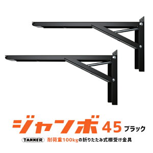 |Cg3{yzTANNER W{ B-45 (2{1g) / ubN ܂ݎI󂯋 Is450-500mmxΉ ω׏d(1g)100kgf 񂹕i