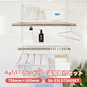 yzh[Zbg(SA-ESLD7560SET) 750×600mm ǉ[ DIY tZbg IEIEpCvEIZbg 񂹕i