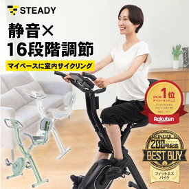 ＼3/4 20時から P10倍&300%Pバック／【MONOQLOベストバイ受賞】フィットネスバイク 背もたれ付き 静音 折りたたみ式 小型 2024年改良モデル 負荷16段階 エアロバイク スピンバイク エクササイズバイク 【1年保証】STEADY ST120