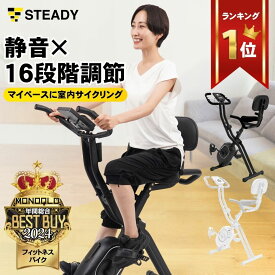 【MONOQLOベストバイ受賞】フィットネスバイク 背もたれ付き 静音 折りたたみ式 小型 2024年改良モデル 負荷16段階 エアロバイク スピンバイク エクササイズバイク 【1年保証】STEADY ST120
