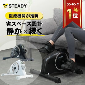 ミニ フィットネスバイク リハビリ 足元 静音 小型 アプリ連動 Zwift スピンバイク エアロバイク フィットネスバイク 自宅 高齢 持ち運び簡単 負荷16段階 電源不要 マグネット式 【1年保証】STEADY ステディ ST121