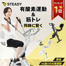フィットネスバイク 折りたたみ 静音 コンパクト バンド付 連続130分 ミニ 売れ筋 家庭用 エアロバイク 室内 ダイエット トレーニング 筋トレ 自転車 高齢者 リハビリ 【1年保証】 STEADY ST143