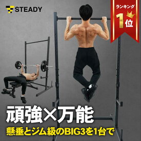 懸垂マシン ラック型 耐荷重300kg 25段階調整 本格BIG3 ベンチプレス 懸垂 ハーフラック パワーラック バーベルスタンド ホームジム 懸垂機 懸垂台 【1年保証】STEADY ステディ ST154 ぶら下がり健康器