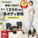 ＼30%OFF ~1/18 23:59 ／ツイストステッパー ステッパー 静音 3WAY サイドステッパー 60分連続使用 木目調 省スペース…