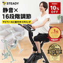 ＼10%OFF ~2/10まで／ 【MONOQLOベストバイ受賞】フィットネスバイク 背もたれ付き 静音 折りたたみ式 小型 2024年改良モデル 負荷16段階 エアロバイク スピンバイク エクササイズバイク 【1年保証】STEADY ST120