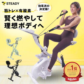 【抽選で300％バック】※要エントリー◆フィットネスバイク 折りたたみ 静音 コンパクト バンド付 連続130分 ミニ 売れ筋 家庭用 エアロバイク 室内 ダイエット トレーニング 筋トレ 自転車 高齢者 リハビリ 【1年保証】 STEADY ST143