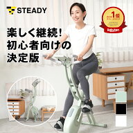 フィットネスバイク 静音 折りたたみ 小型 ルームバイク 独自開発の非接触式airホイール 負荷16段階 室内…