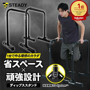 ySiP10{Gg[K{zfBbvXX^hyLO1ʊlz܂肽 ω׏d150kg ؃g  `jO g[jO fBbvXo[XefB yۏ365zVJTS System