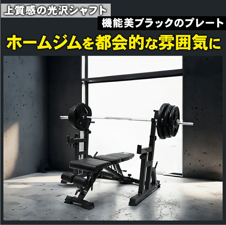 楽天市場】＼ P10倍※エントリー必須 ~4/17まで ／シャフト プレート 筋 