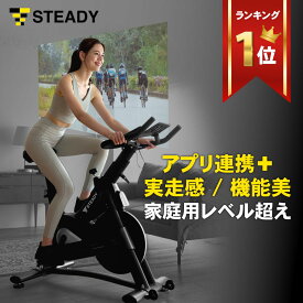 スピンバイク Pro 静音 13kgホイール 家庭用 フィットネスバイク エアロ バイク Zwift Kinomap 対応 Bluetooth 接続トレーニング 筋トレ 室内 負荷調整 実走感 連続120分ルームバイク マシン エア バイク STEADY ステディ