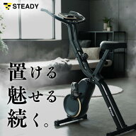【◆マラソン 5%OFFクーポン】フィットネスバイク Neo マットブラック×ゴールド 【1年保証】 MONOQLO受…