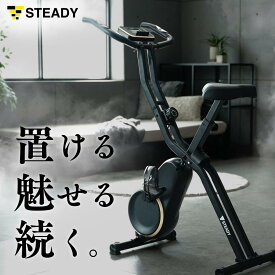 フィットネスバイク Neo マットブラック×ゴールド 【1年保証】 MONOQLO受賞姉妹モデル 静音 コンパクト 折りたたみ スタイリッシュ 専用モニター 16段階 小型 エアロバイク ルームバイク 室内トレーニング STEADY ステディ ST163