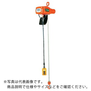 �ۈ� ( �ۈ�`�F���u���b�N ) �P��100V���^�d�C�`�F�[���u���b�N(1���^)160kg�E3m (��S-016 3m) ( AS-K1630 )