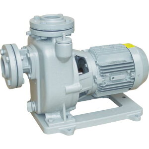 TERADA |v Zv|v SOO`d@t 50Hz 0.75kW Sg11.5m ( MPJ4-50.71E 50HZ ) ()c|v쏊 y[J[z