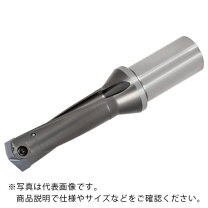 楽天市場】ヘッド tis（花・ガーデン・DIY）の通販 