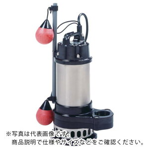 TERADA X[p[eN|60HZ ( CXA-250T 60HZ ) ()c|v쏊