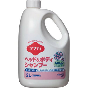 Kao Ɩp\teB wbh&{fBVv[ }Ch 2L ( 507662 ) ԉ()