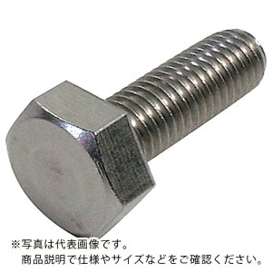 DAIDOHANT HP ステンレス六角ボルト 8×15 2本入 ( 10185729 ) (株)ダイドーハント