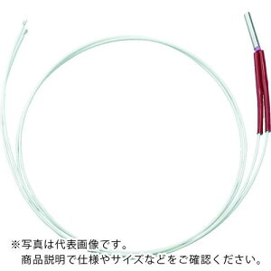 TRUSCO@J[gbWq[^[10@150L@200V@450W CH2-10150 ( CH210150 ) gXRRij