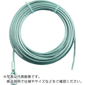 TRUSCO 蓮EC`pC[5X20mp(VubNH) ( WWS5-20 ) gXRR()