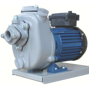 TERADA |v Zv|v O200V SOO`[gt 50Hz ( MP2N-0021TR 50HZ ) ()c|v쏊 ( RAE46 )