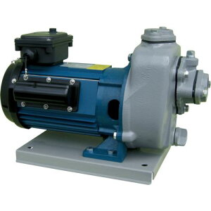 TERADA |v Zv|v SOO`d@t 50Hz P100 Sg13.5m ( MPT1-0021R 50HZ ) ()c|v쏊 ( RAE54 )