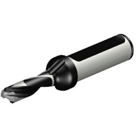 SANDVIK ( サンドビック ) コロドリル870 ヘッド交換式ドリル(446) ( 870-1000-6LX063-3 (446) )