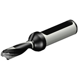 SANDVIK ( サンドビック ) コロドリル870 ヘッド交換式ドリル(446) ( 870-1100-8LX063-3 (446) )
