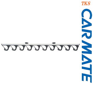 CARMATE J[Cg IF66 JtbNz_[10 10{ 1s[XA2s[XǂOK!