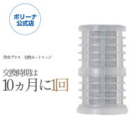 浄水plus 交換カートリッジ 浄水プラス 浄水器 DR-K01 DR-0001用 10か月 PFOS / PFOA_80％除去