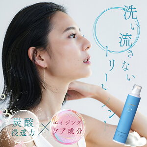 正規代理店 ルーヴルドー 炭酸泡 トリートメント エイジングケア成分を炭酸泡で浸透 美髪 頭皮ケア 潤い 艶 ヘアケア 復元ドライヤー LOUVREDO 洗い流さない レヴィ モイストバブル トリート