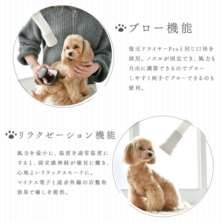 楽天市場】【正規代理店】 復元ドライヤーPET ルーヴルドー ハンズ 