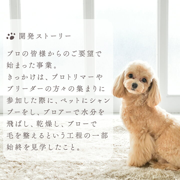 楽天市場】正規代理店 復元ドライヤーPET ルーヴルドー ハンズフリー  
