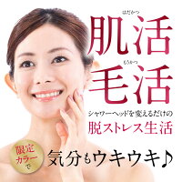 ボリーナワイド特別色【パール】