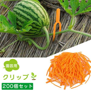 i[s y200Zbg z|Nbv AT|[g i[s  gXNbv g}gNbv K[fjONbv U AŒNbv vgNbv 