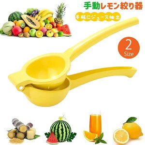 i yIׂ2TCYz 蓮W[T[ i  ֗ ʕ̃W[X ֗ȃLb`c[ W[X ʏ`i