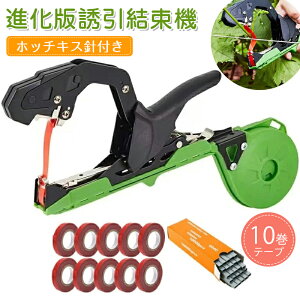 yi zb`LXjt e[v10tzU@ e[vc[ |p U @ e[vc[ e[vi[ ʎ zb`LX U Ў Ŕ y ȒP _ ƒ؉ ʎp