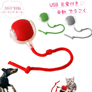 p `[C {[ `[C X}[g [O ybg {[@C^NeBu L{[  USB [dt  360 x][O {[  {[   d 