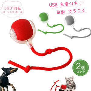 yJ[Iׂ2Zbgzp `[C {[ `[C X}[g [O ybg {[@C^NeBu L{[  USB [dt  360 x][O {[  