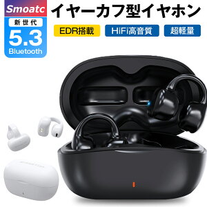 ワイヤレスイヤホン bluetooth5.3 イヤホン EDR ダブルマイクENC CVC8.0通話 ノイズキャンセリハンズフリー通話 hi-fi音質 AACコーデック ブルートゥース 無線 片耳 インナーイヤー タイプc充電 OVP充