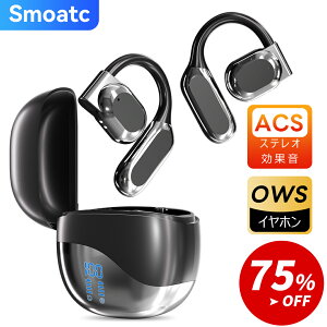 _zȏZ[N[|2,500~I^y2025Łz Cz Bluetooth CXCz ǂȂ CtH | I[vC[^ `̊vV w`Zp c