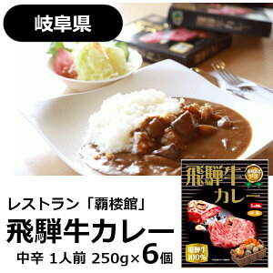 yヌr[ŃN[|zzzˋJ[ 250g 6MtgZbgi1lO250g×6j eO/ ˋJ[ ggJ[ h r[tJ[ 򕌌Yˋgp ZJ[ 