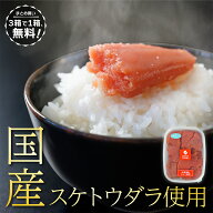 【3箱で1箱無料！】ちかえフーズ 辛子明太子 国産スケトウダラ使用 大粒で高品質な切れ子です！ 福岡で製…