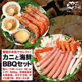 父の日 カニと海鮮バーベキューセット かに 蟹 アワビ エビ ホタテ 約2〜3人前 冷凍 BBQ キャンプ おつまみ