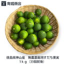 2025年新物！　徳島産 すだち果実 無農薬栽培 1kg家庭用袋入 サイズ混合 クール便送料無料