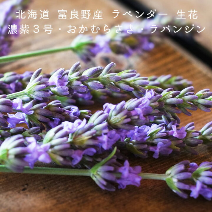 楽天市場 22年 ラベンダー 生花 切り花 １束 約300ｇ 北海道 富良野産 富良野ラベンダー園よりクール便で直送 花の種類 は開花状況により変わります 花の種類は選べません 発掘商会